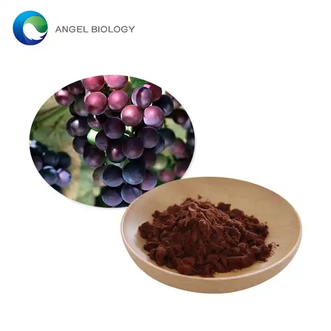 Grape Seed Extract Powder